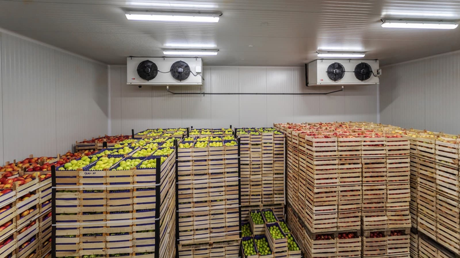 Fresh fruits stored in a refrigerated cold storage facility to maintain quality during transport